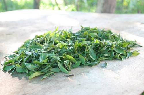 зеленый чай россыпь
